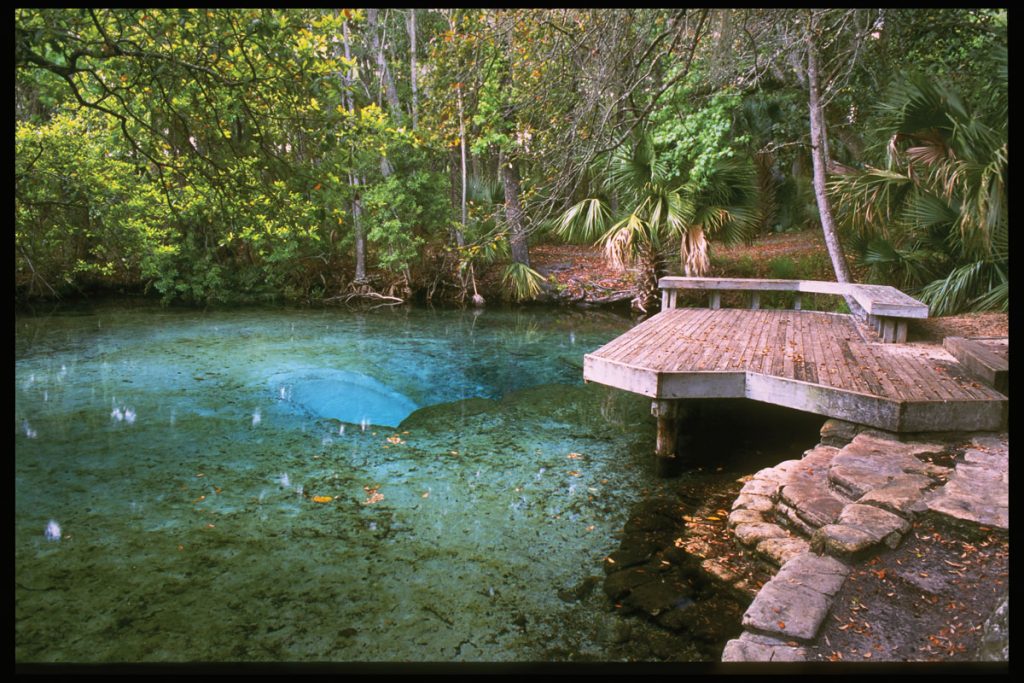 Sweetwater Cabin in the Ocala National Forest.