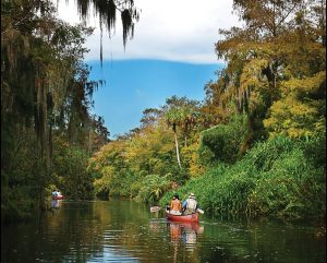 Loxahatchee River, Jonathan Dickinson State Park