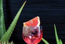 Going Gaga for Agave The Rosa Rita. Photo by Gyorgy Papp