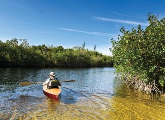 The Untamed Beauty of Florida’s State Parks St. Lucie Inlet Preserve State Park, which boasts a 4.2-mile-long kayak trail. Photo courtesy of iStock