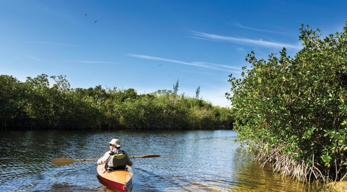 The Untamed Beauty of Florida’s State Parks St. Lucie Inlet Preserve State Park, which boasts a 4.2-mile-long kayak trail. Photo courtesy of iStock