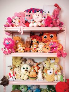Shelving filled with color-coordinated stuffies. Photo by Benjamin Rusnak