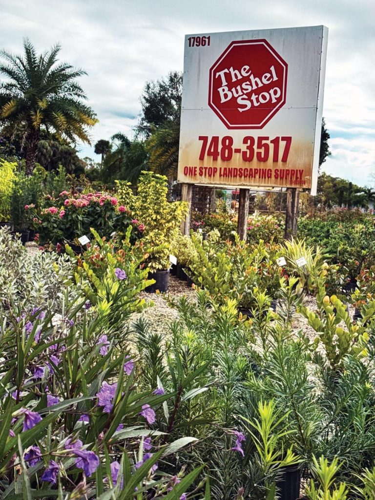 Photo courtesy of The Bushel Stop